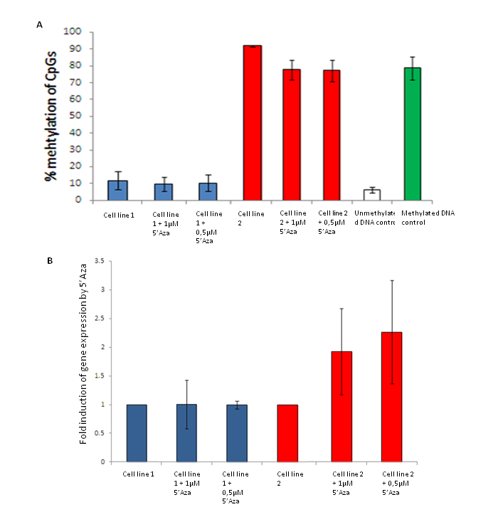 Figure 5. A) Monitoring the effect of 5’Aza on methylation levels in cell lines by Pyrosequencing. Both cell line 1 and 2 show minor effect of 5’Aza treatment in the analyzed region. B) Analysis of the effect of 5’Aza on expression of a gene by qPCR. Cell line 1 show no induces expression of the gene, while for cell line 2 the gene is slightly more expressed after 5’Aza treatment (unpublised).